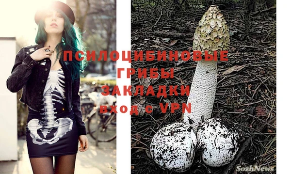 PSILOCYBIN Аркадак