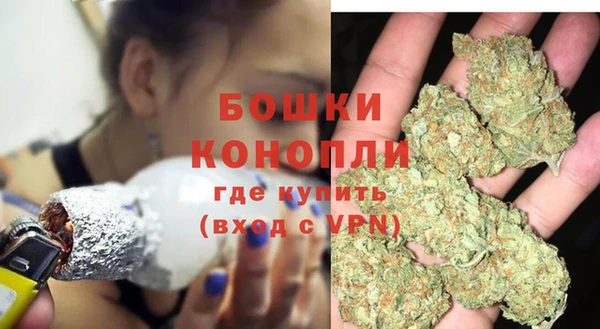 PSILOCYBIN Аркадак
