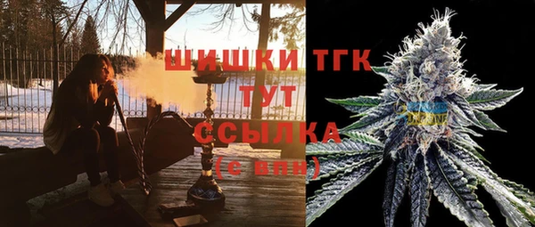 PSILOCYBIN Аркадак