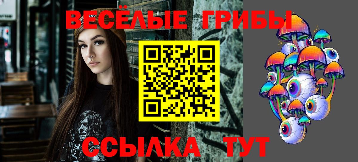 Галлюциногенные грибы прущие грибы Зима
