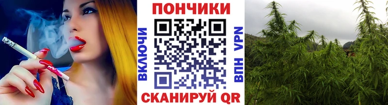маркетплейс как зайти  магазин продажи наркотиков  Зима  Канабис план 